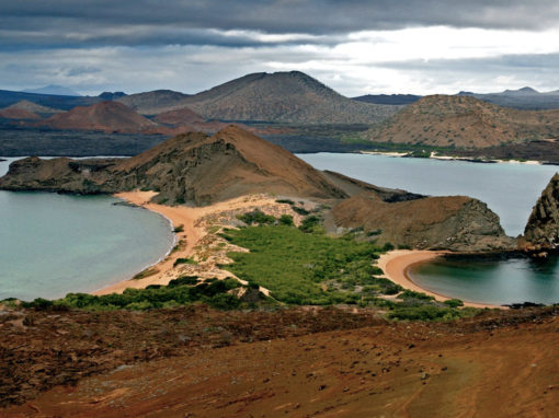 NEW YEAR 2023: GALAPAGOS DISCOVERY